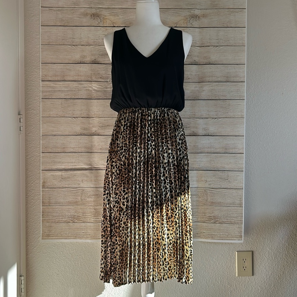 Francesca’s Dress